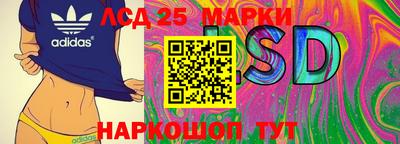 гидропоника Краснодар