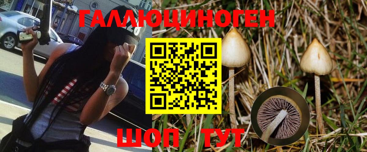 Псилоцибиновые грибы Psilocybe Татарск