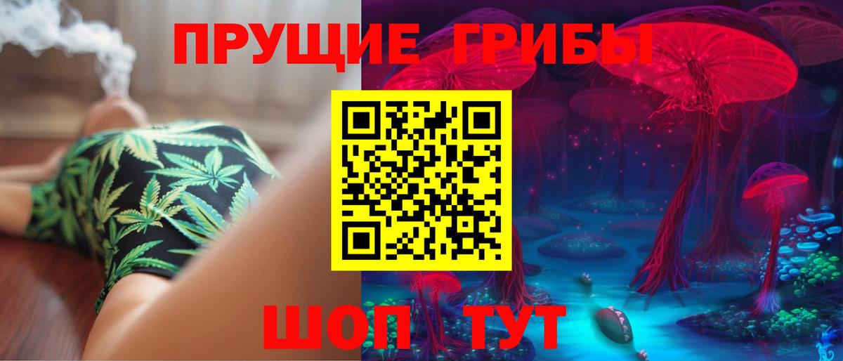 Псилоцибиновые грибы Psilocybe  Вход с VPN  Татарск 
